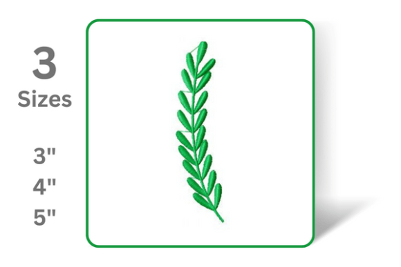Delicate Branch: A Designer’s Review for Real Projects